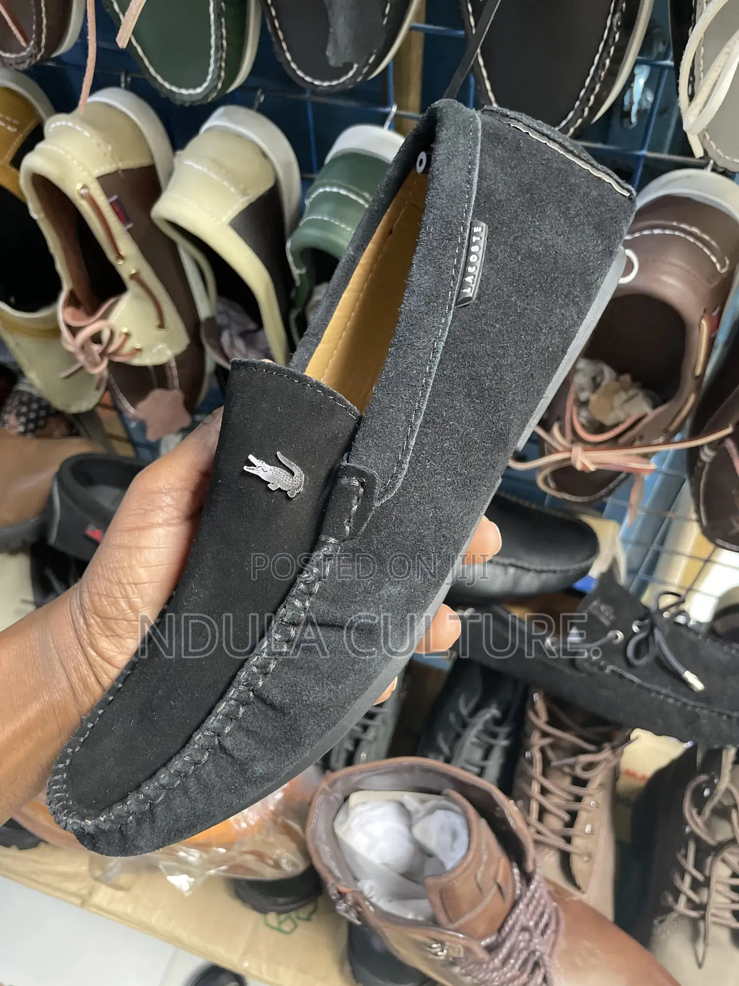 Lacoste,Polo, Clarks Premium Loafers