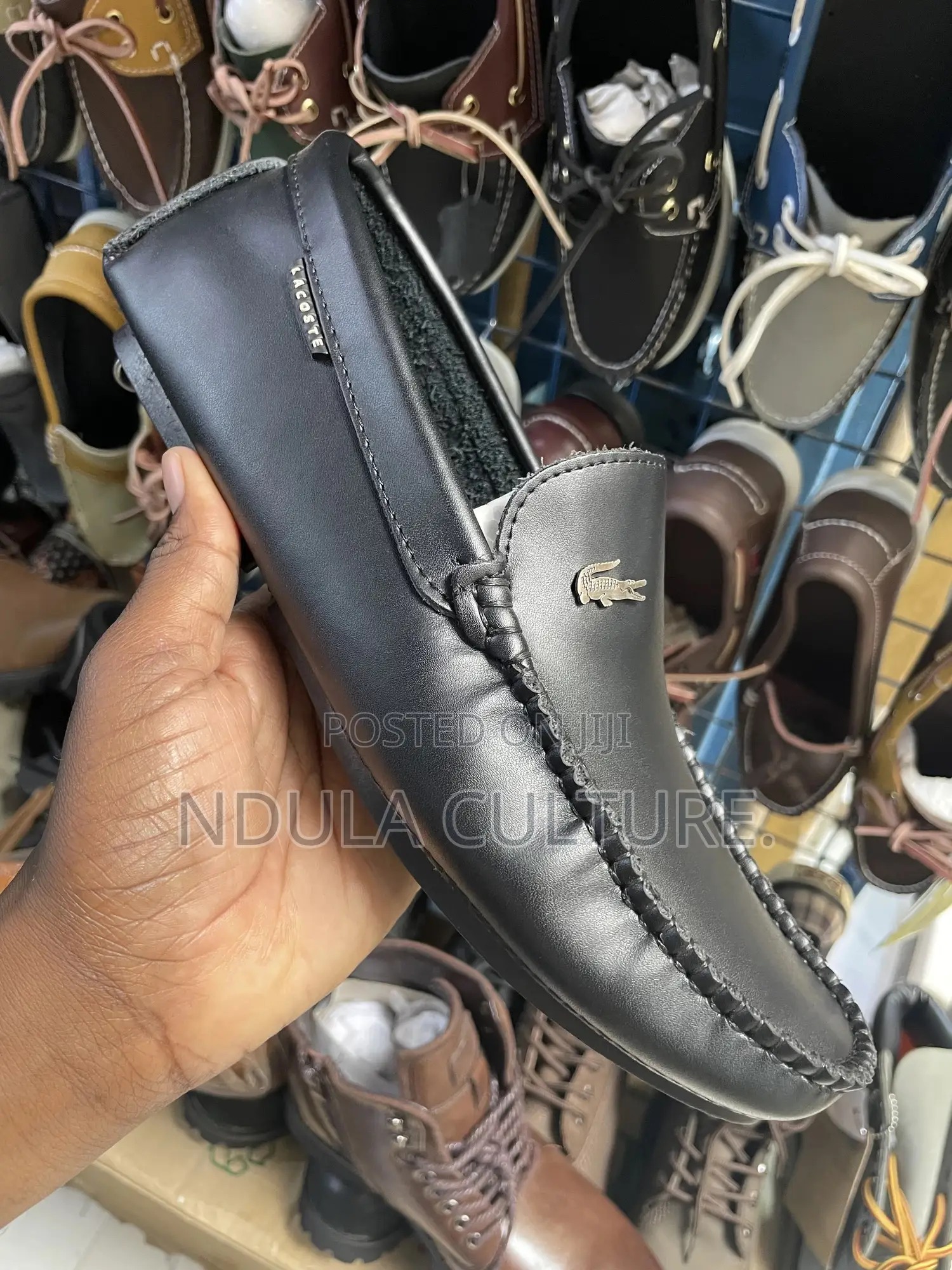 Lacoste,Polo, Clarks Premium Loafers