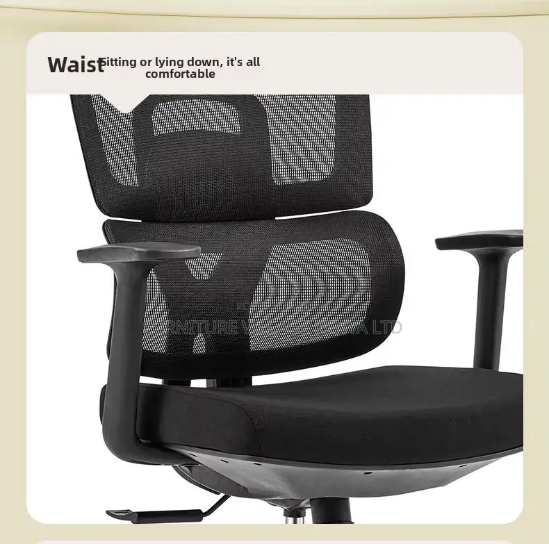 Mesh Staff Lumbar Support Ergonomic Chair
