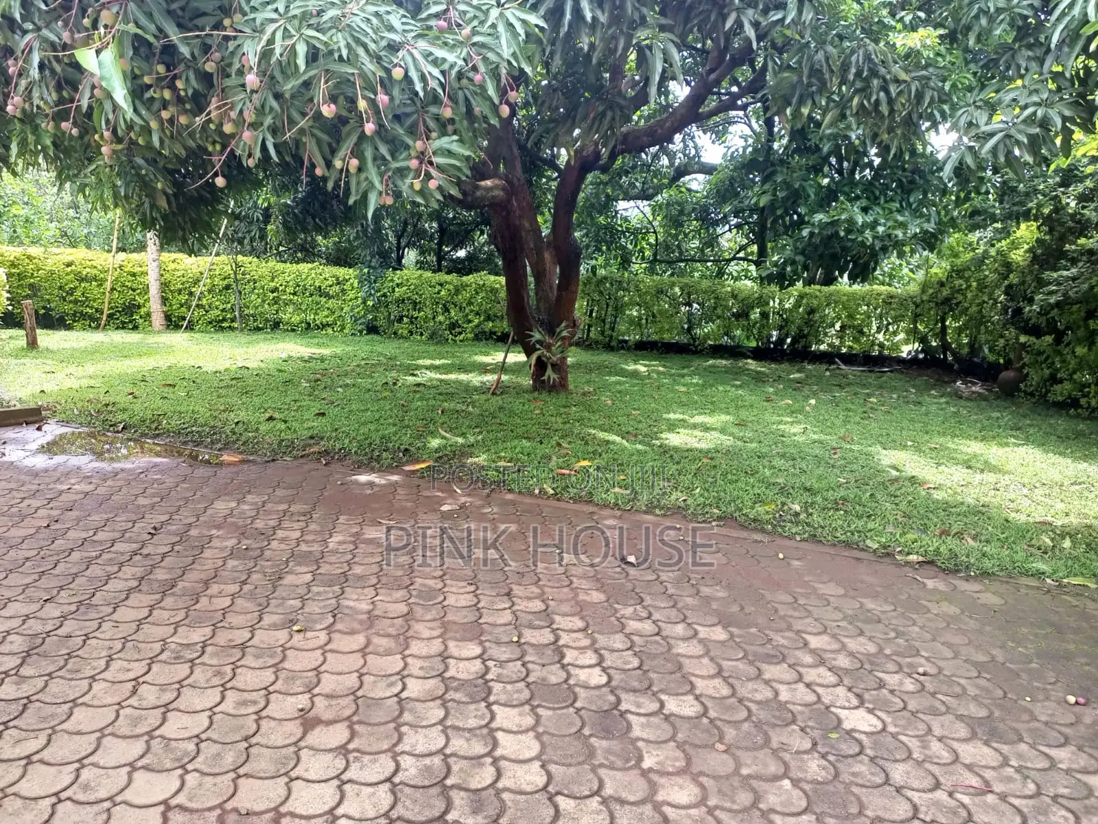 Kugeria Prime Half Acre Corner Plot
