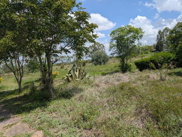 Acacia Kitengela - thumbnail 3