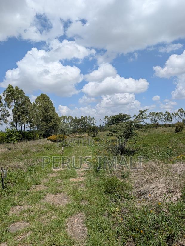 Acacia Kitengela - thumbnail 11