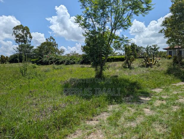 Acacia Kitengela - thumbnail 5