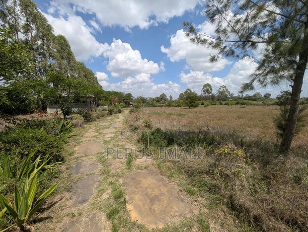 Acacia Kitengela - thumbnail 9