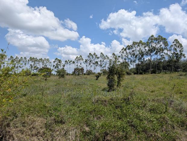 Acacia Kitengela - thumbnail 10