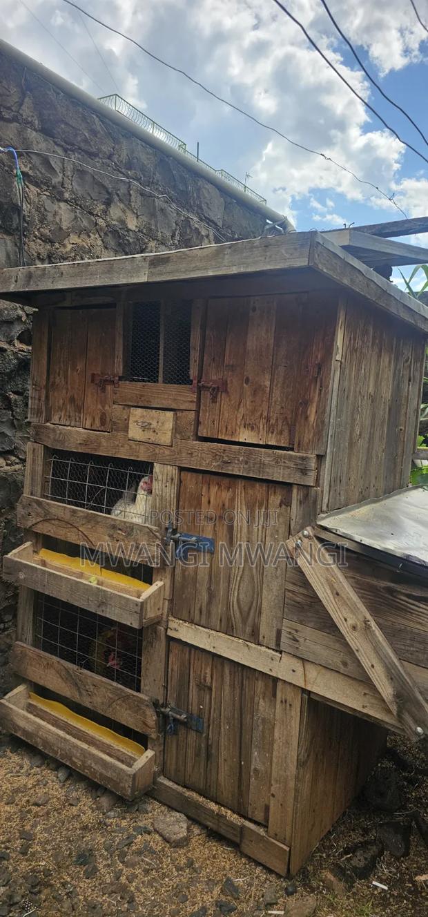 Portable Chicken House