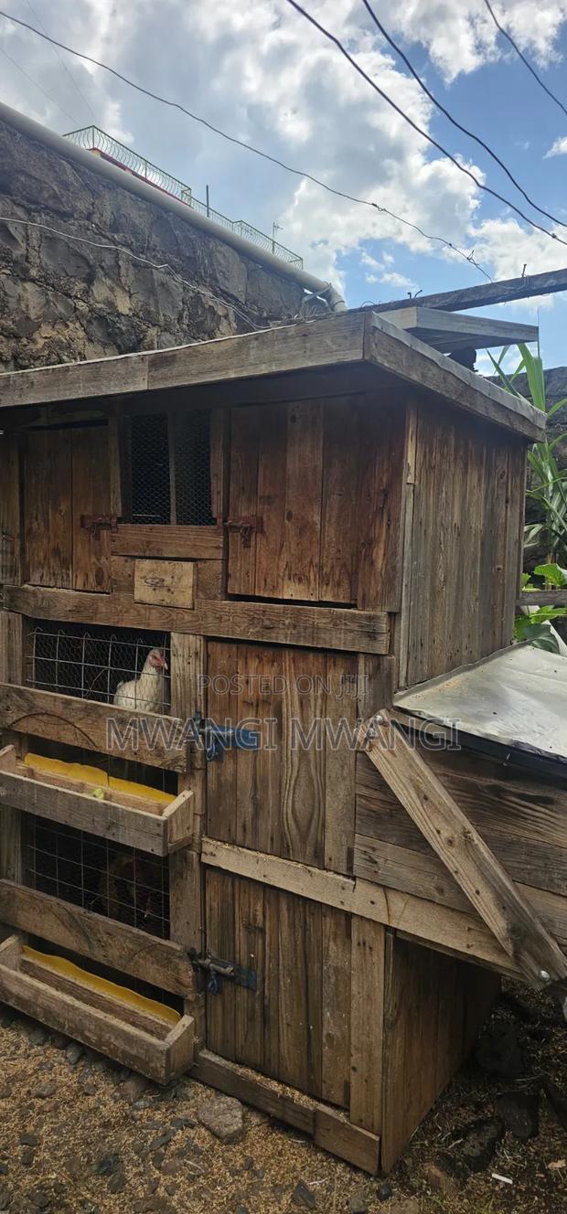 Portable Chicken House - thumbnail 2