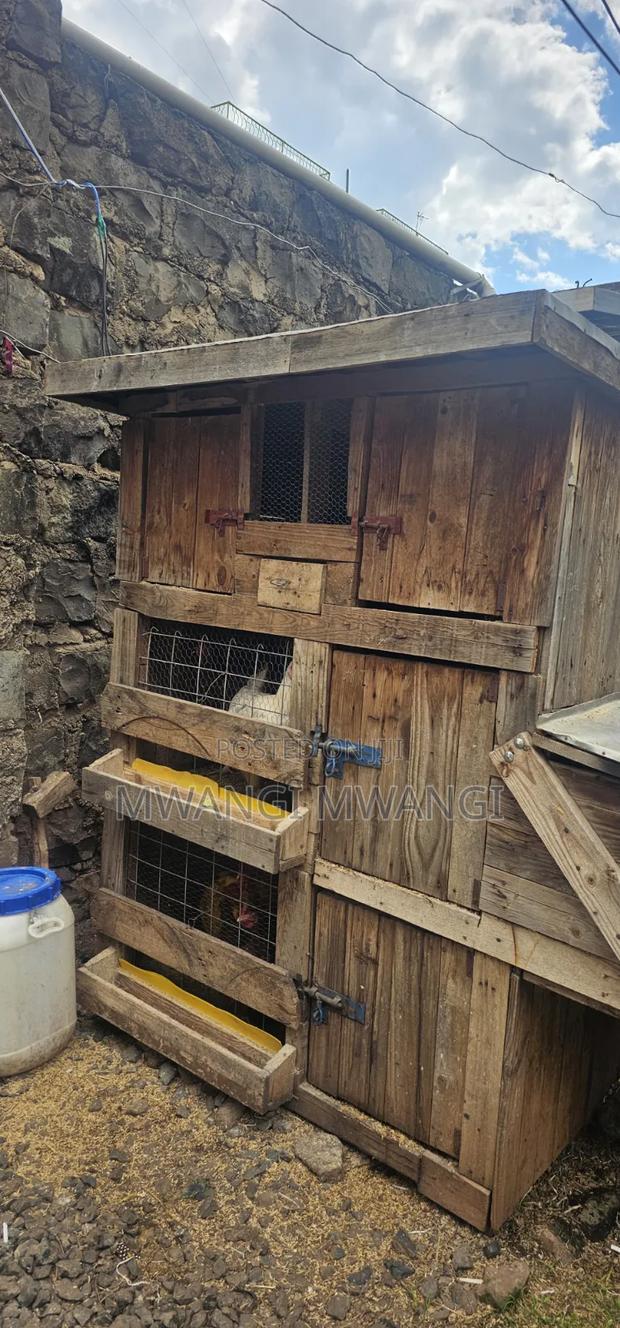 Portable Chicken House - thumbnail 3