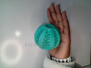 Resistance Bite Dogs Treat Balls - Big