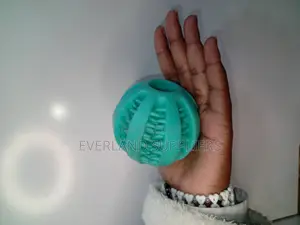 Resistance Bite Dogs Treat Balls - Big