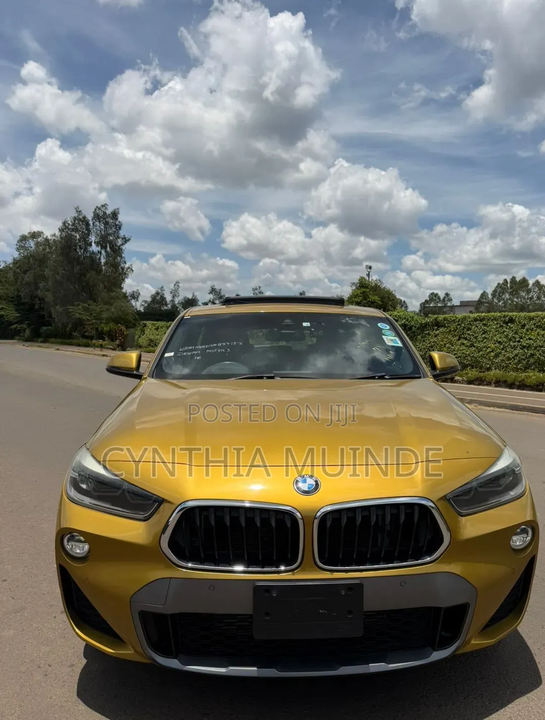 BMW X2 2018 Gold
