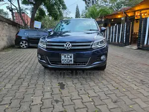 Volkswagen Tiguan 2012 Blue