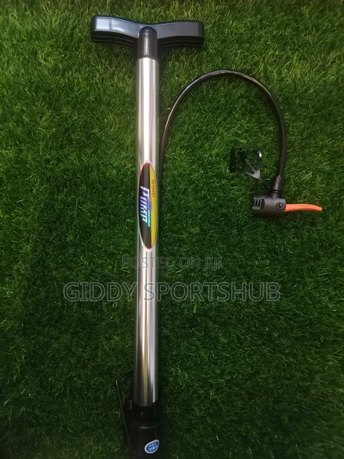 Portable Ball Pump With Needles