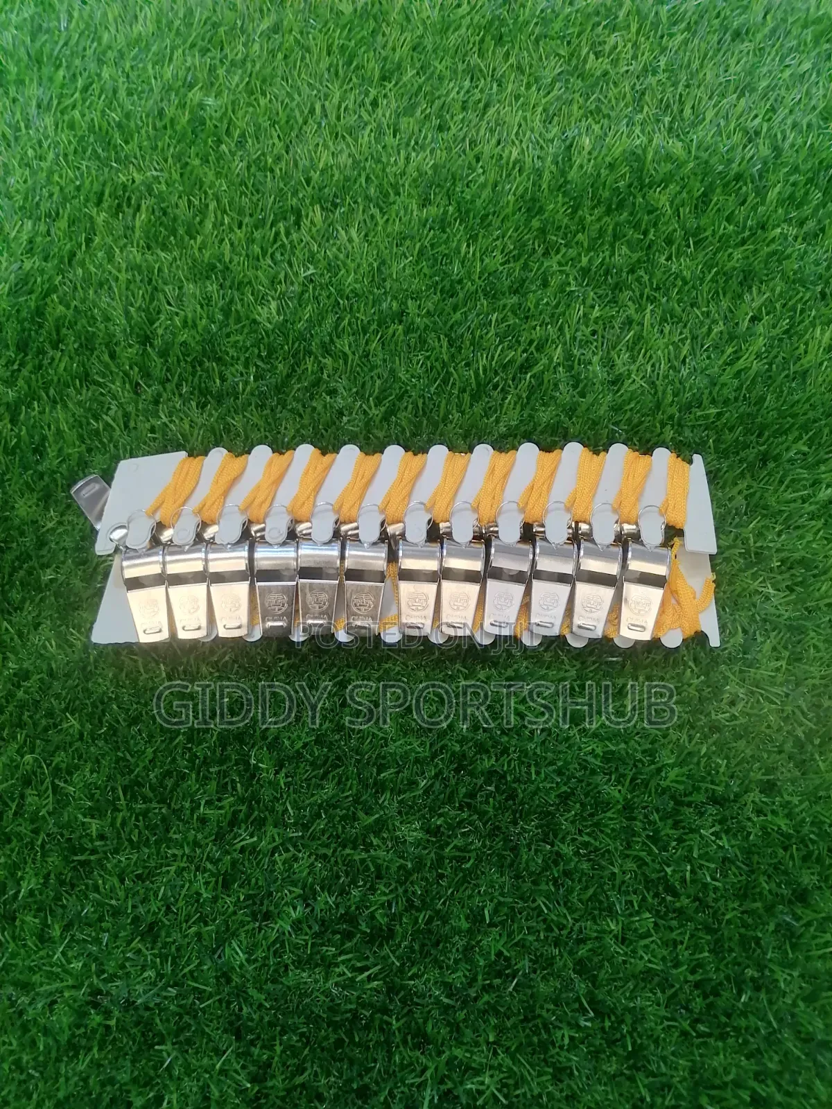 Sport Whistle