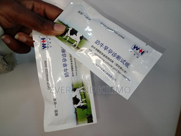 Cow Pregnancy Kit - Each
