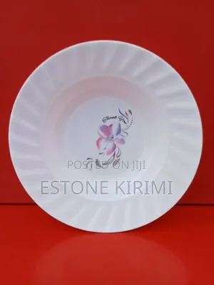 12 PCS Plastic Plate