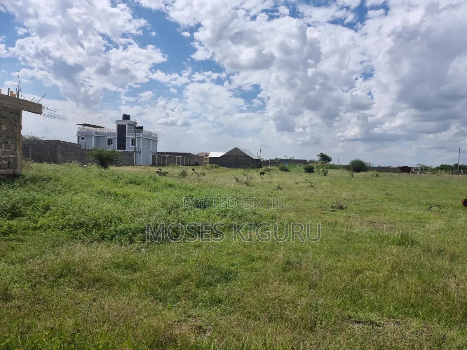 Ndarasha 40x60 Plots.
