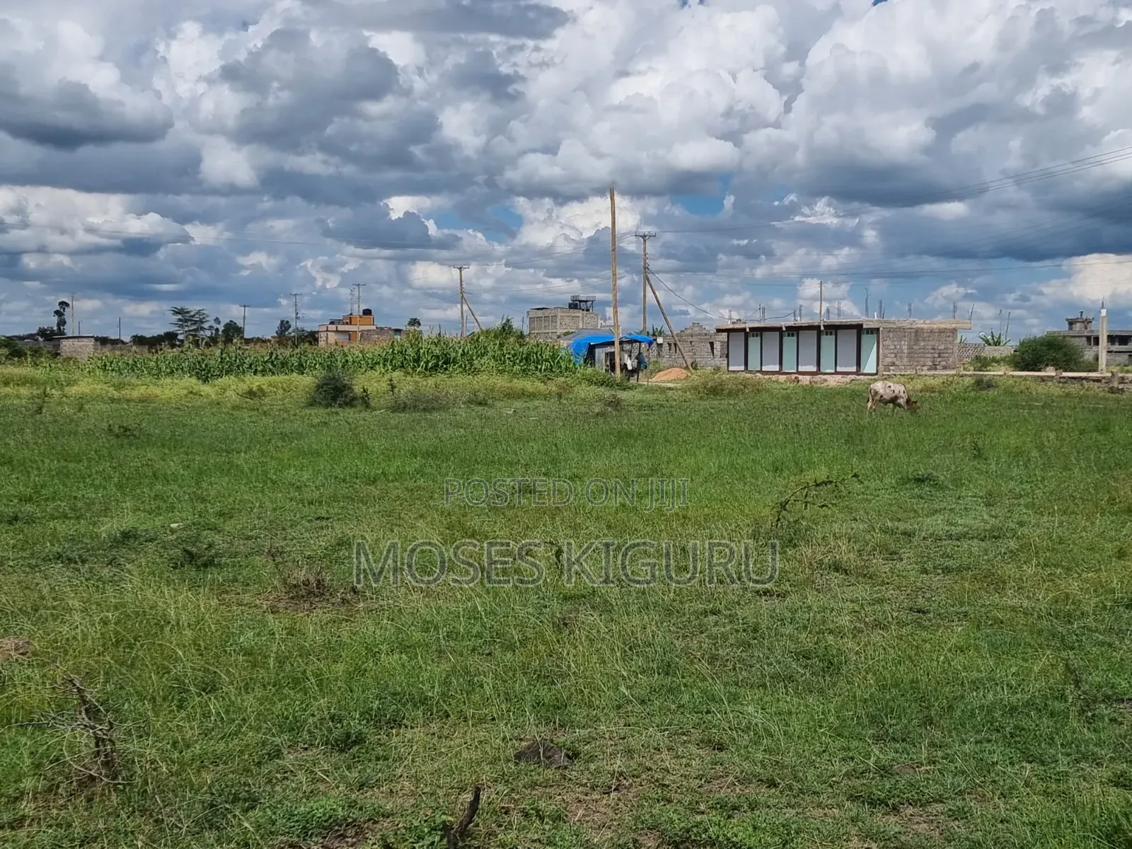 Ndarasha 40x60 Plots.