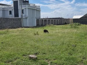 Ndarasha 40x60 Plots.