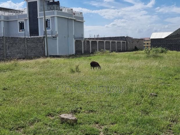 Ndarasha 40x60 Plots.