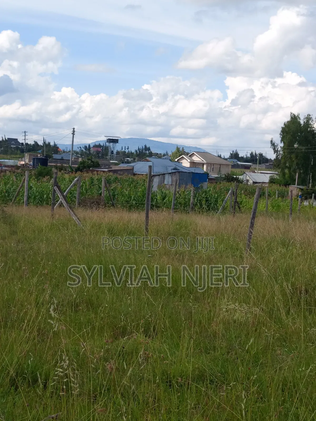 50/100 Plots for Sale in Malaa