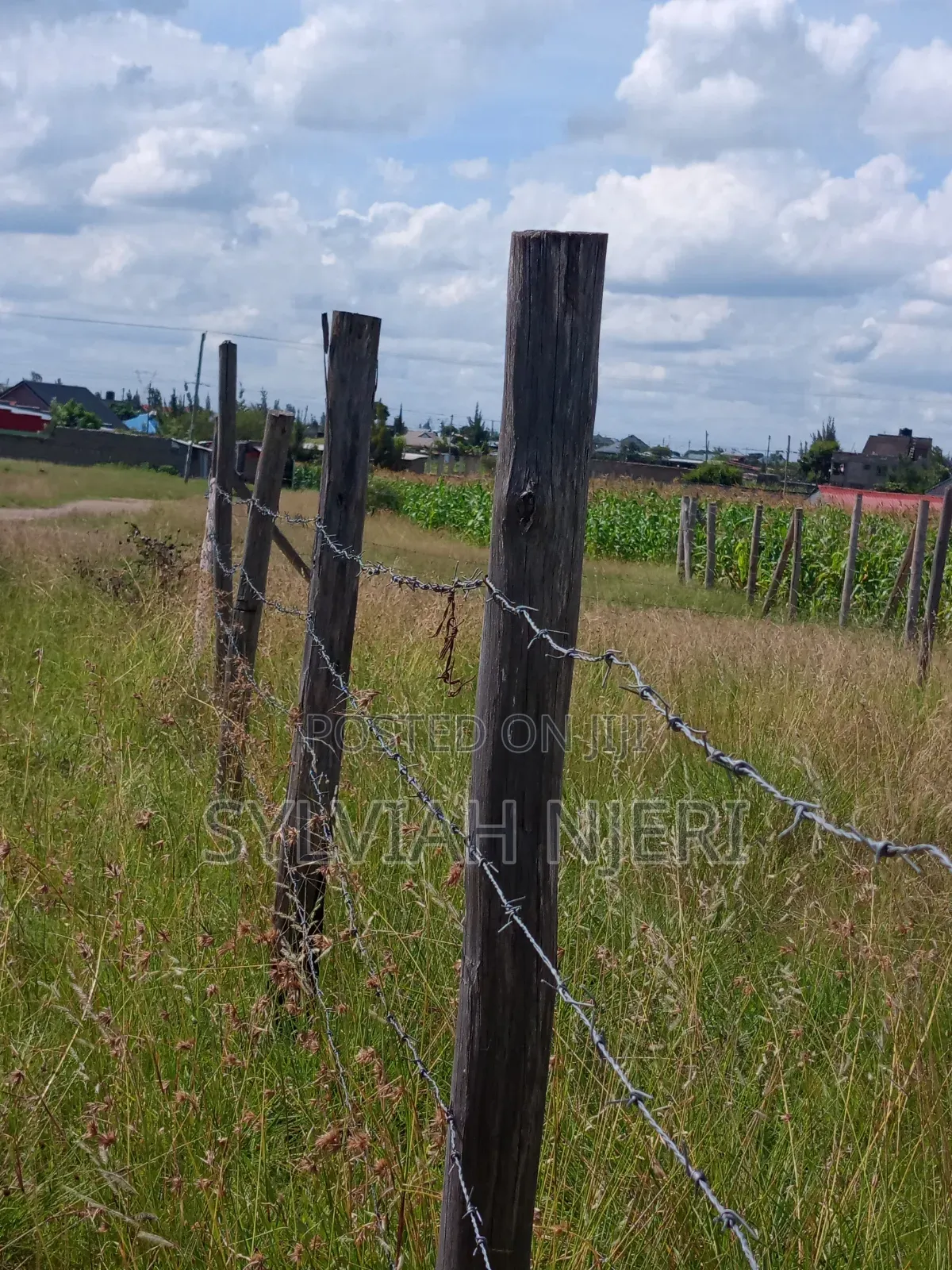 50/100 Plots for Sale in Malaa