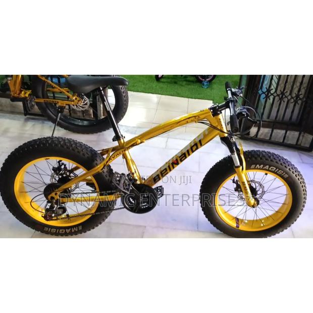 Size 20 Fat Tyre Bicycle - main view