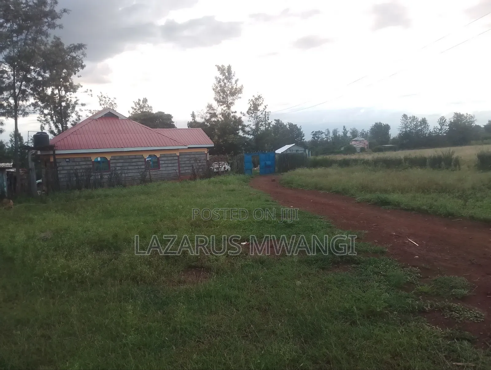 50 by 100 Plot at P. I Mwea Makutano