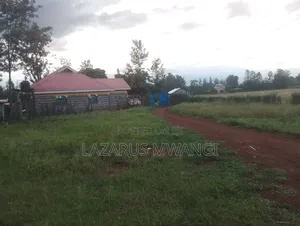 50 by 100 Plot at P. I Mwea Makutano