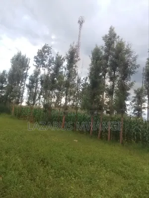 50 by 100 Plot at P. I Mwea Makutano