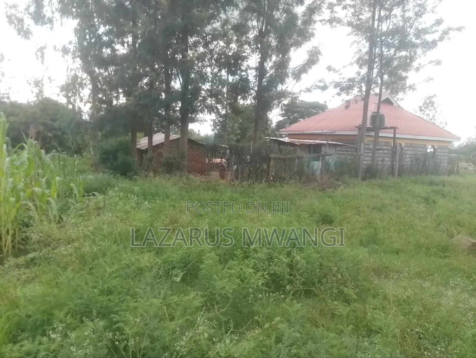50 by 100 Plot at P. I Mwea Makutano