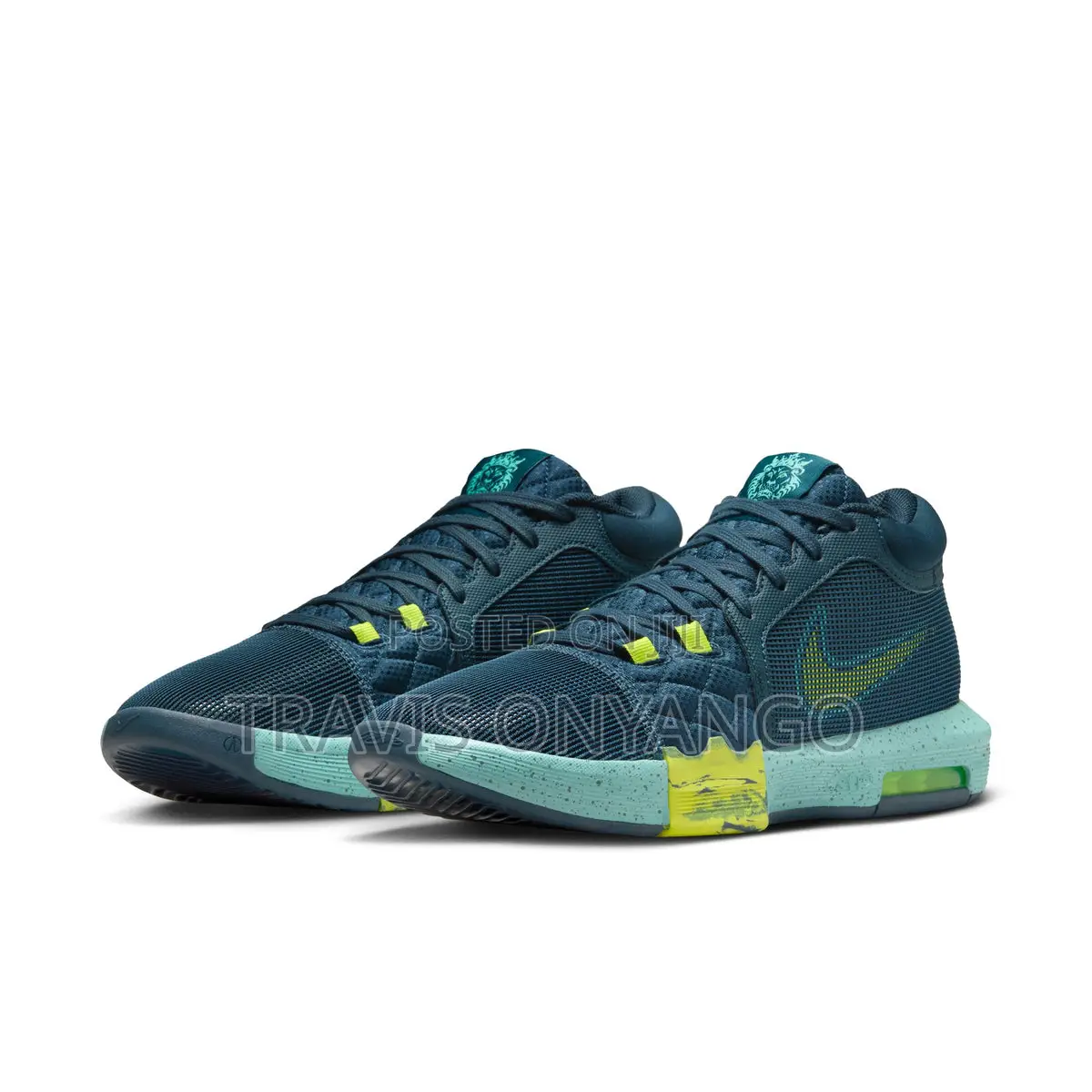 Lebron Witness 8
