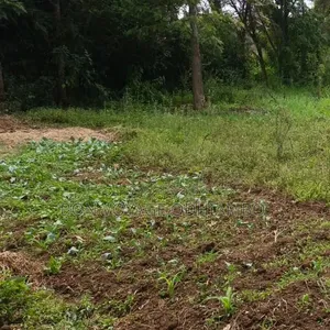 3/4 Acre Prime Land Within Bondo Town on Distress Sale
