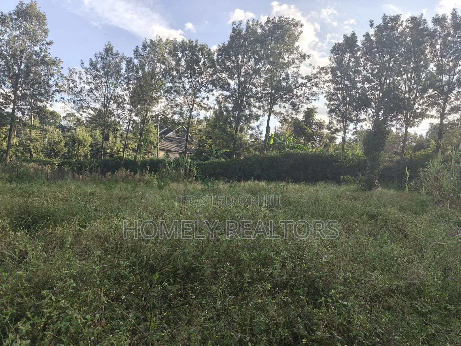 Residential 8th Acre Red Soil Plot for Sale in Kerarapon Drive