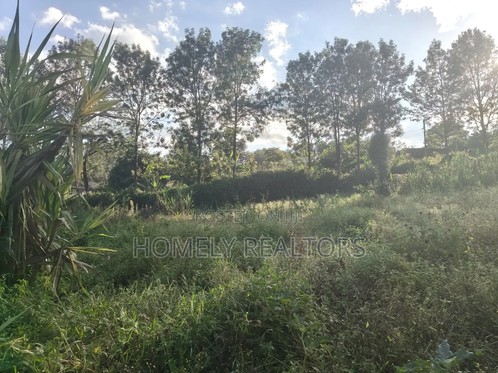 Residential 8th Acre Red Soil Plot for Sale in Kerarapon Drive
