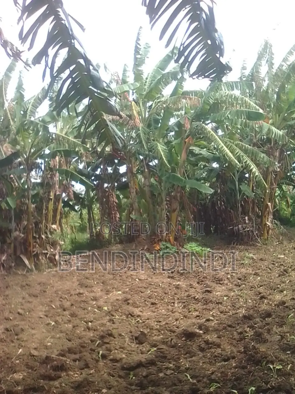 80 by 40 Plot Located in Well Developed Area Jomvu