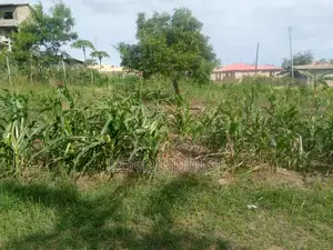 80 by 40 Plot Located in Well Developed Area Jomvu