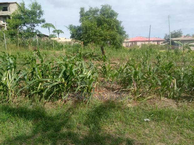 80 by 40 Plot Located in Well Developed Area Jomvu - thumbnail 2