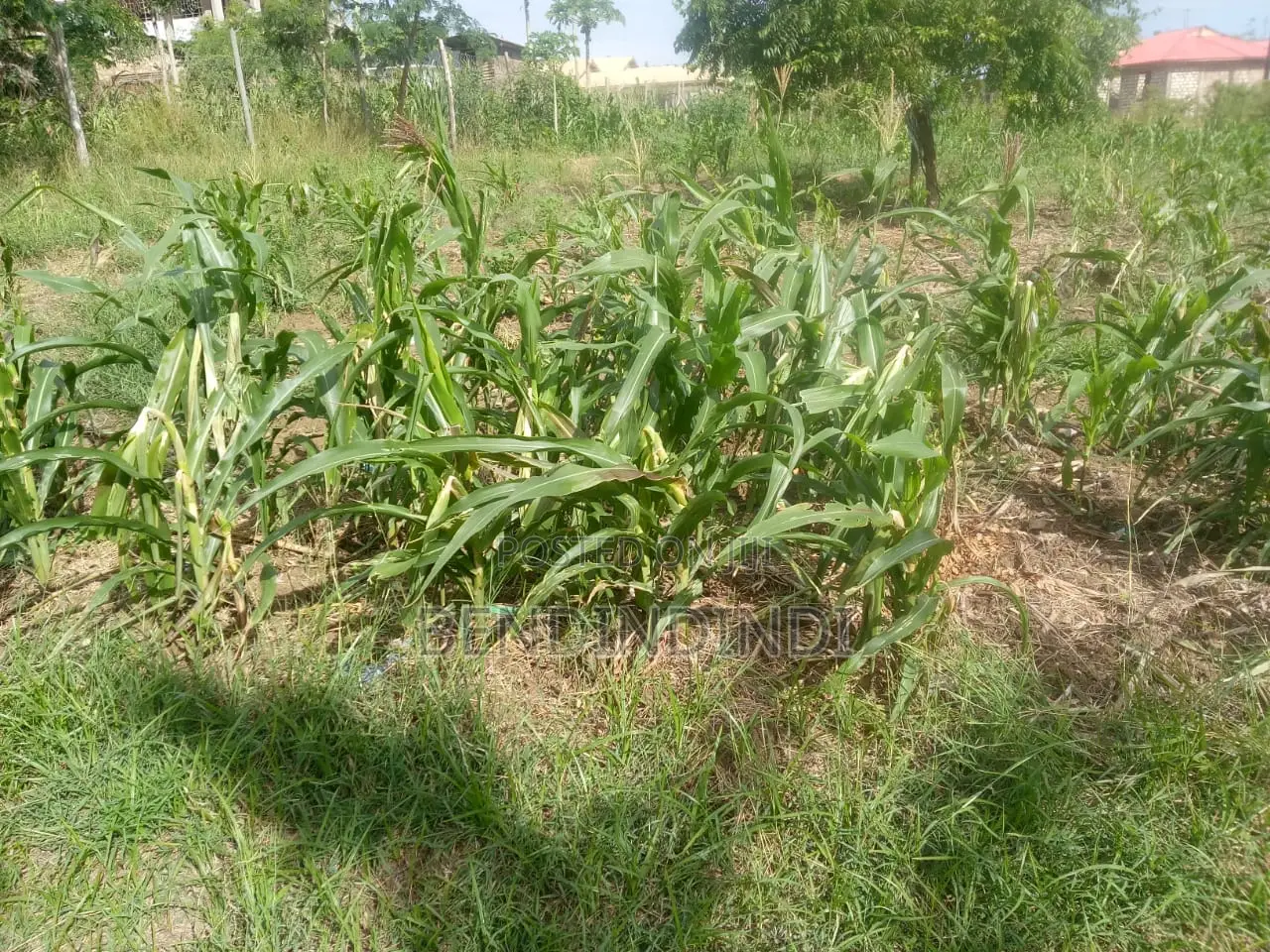 80 by 40 Plot Located in Well Developed Area Jomvu