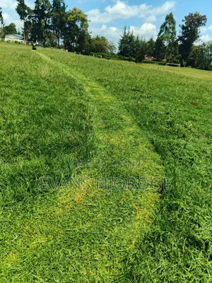 Ride on Mower