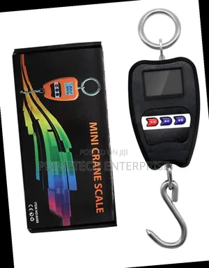 Portable Mini Crane Electronic Scale -200kg