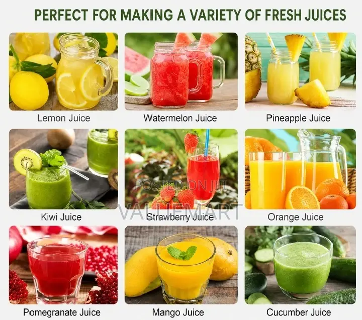 Manual Fruit Press Juicer