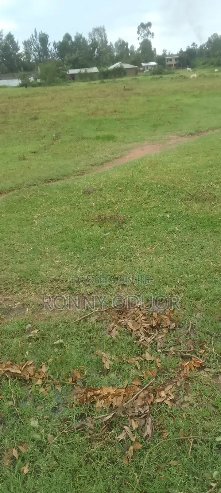 Kisumu/ Wathorego/3793