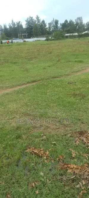 Kisumu/ Wathorego/3793