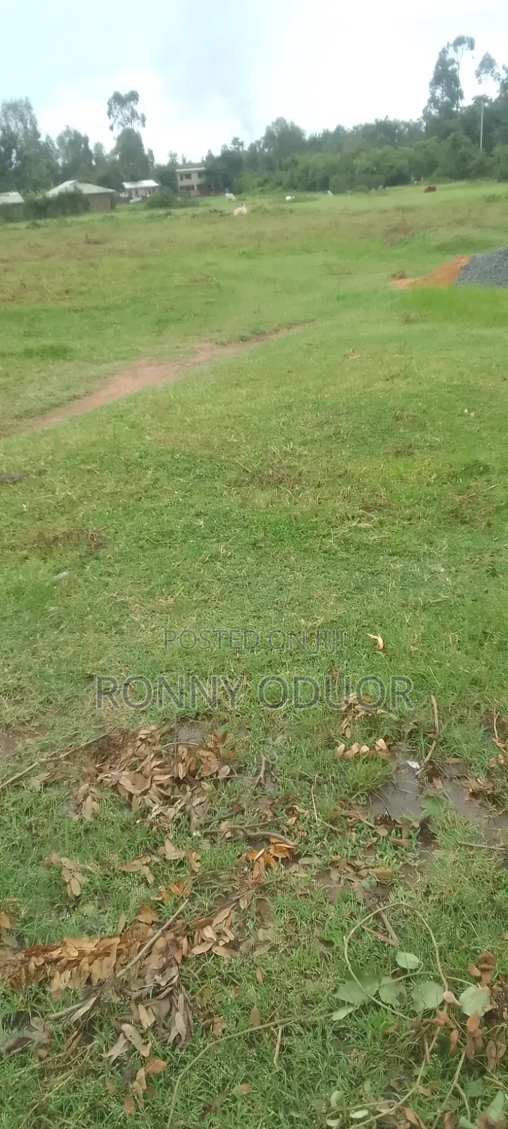 Kisumu/ Wathorego/3793
