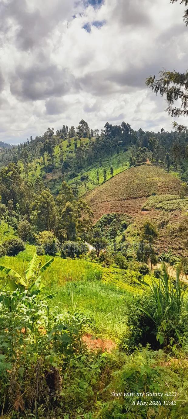 2acres Tea Farm for Sale in Gatundu North