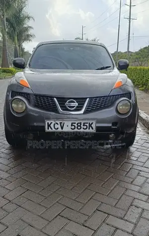 Nissan Juke S AWD 2011 Gray