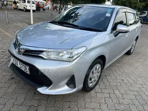 Toyota Corolla Fielder 2019 Silver