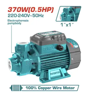 Water Pump Peripheral Pump 370w(0.5hp) Max.Head:35m Twp13706