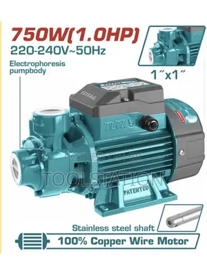 Peripheral Pump 750w(1hp) Max.Head:52m Twp17506